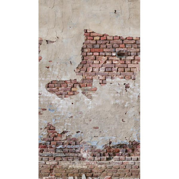 Papel de Parede Painel Tijolinho - The Wall 2 - AS392561 - Vinílico