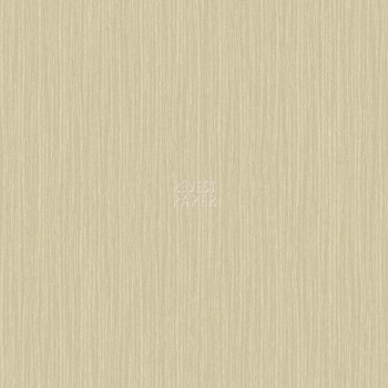 Kashmir - BH8311 - Papel de Parede Americano Vinílico-Lavável   