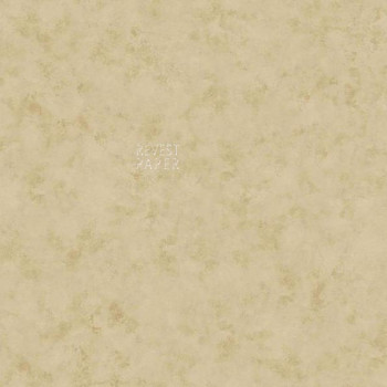 Kashmir - BH8348 - Papel de Parede Americano Vinílico-Lavável   