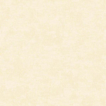 Papel de Parede Textura - Colorkey - COL1029 - Vinílico - TNT 