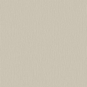 Papel de Parede Textura - Criativo 2 - CR333506R - Vinilíco
