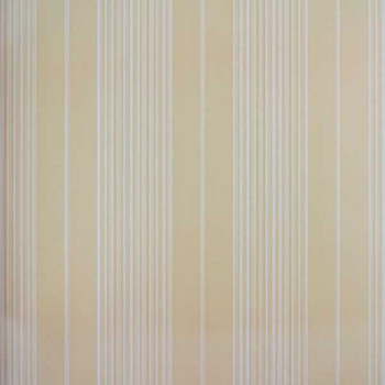 Classic Stripes CT889047 Papel de Parede Vinílico Lavável