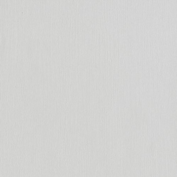 Papel de Parede Dandelion - 4246-10 - TNT