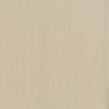 Papel de Parede Dandelion - 4246-60 - TNT