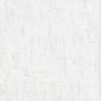 Papel de Parede Dandelion - 4259-10 - TNT