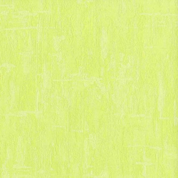Papel de Parede Dandelion - 4259-80 - TNT