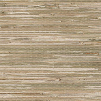 Palha Natural Decorator Grasscloth - 488-403 - Fibra Natural