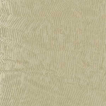 Papel de parede Dimensional Effects -TD4709 -VINÍLICO - LAVÁVEL 