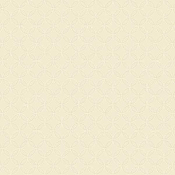 Papel de parede Dimensional Effects -TD4765 -VINÍLICO - LAVÁVEL 