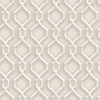 Papel de parede Dimensões - DS4708 - Vinílico Lavável  