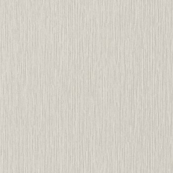 Papel de Parede Textura - Elementum - EE1004 - Vinílico