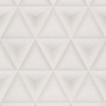 Papel de Parede Elune - EN2003 - Geométrico - Vinilico com base TNT
