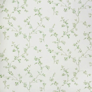 Fragrant Roses FA811033 Papel de Parede Floral Vinílico Lavável 