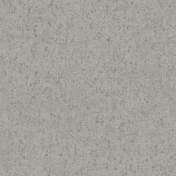 Papel de Parede Textura - Blackburn - FD25317 - TNT/Vinilíco