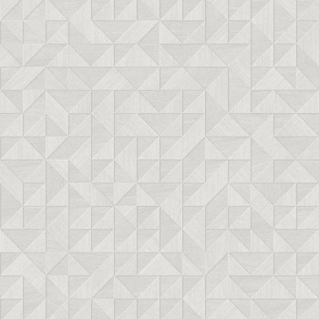 Papel de Parede Geométrico - Blackburn - FD25325 - TNT/Vinilíco