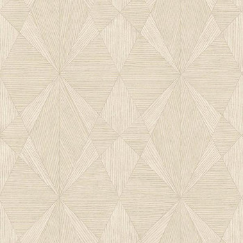 Papel de Parede Geométrico - Blackburn - FD25332 - TNT/Vinilíco
