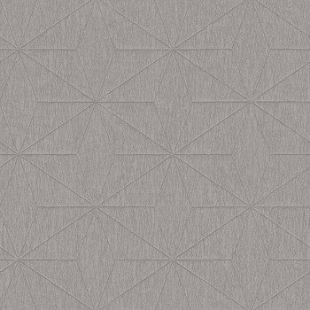 Papel de Parede Geométrico - Blackburn - FD25341 - TNT/Vinilíco