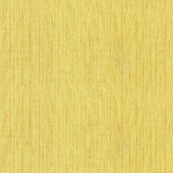 Papel de Parede Fiorenza - 8356 - VINÍLICO LAVÁVEL 