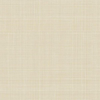 Papel de Parede Alta Gamma Evolution 2 - 15801 - VINÍLICO - LAVÁVEL 