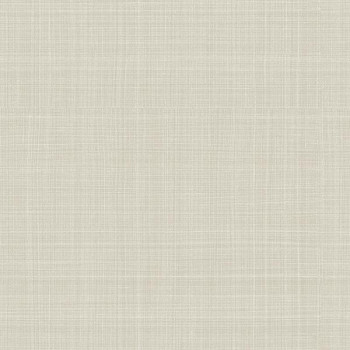 Papel de Parede Alta Gamma Evolution 2 - 20800 - VINÍLICO - LAVÁVEL 