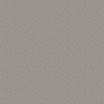 Papel de Parede 3D - Modern Maison - MM 558205 - TNT