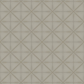 Papel de Parede Geométrico - Modern Maison - MM 558303 - TNT