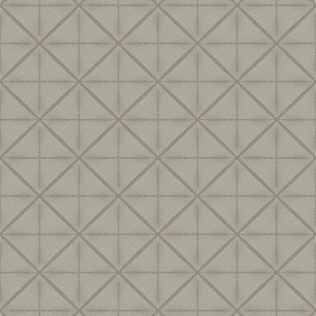 Papel de Parede Geométrico - Modern Maison - MM 558303 - TNT