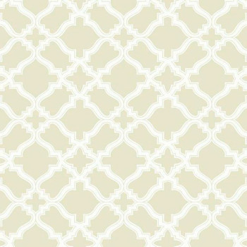 Papel de Parede Modern Shapes - MS6472 - VINÍLICO LAVÁVEL 