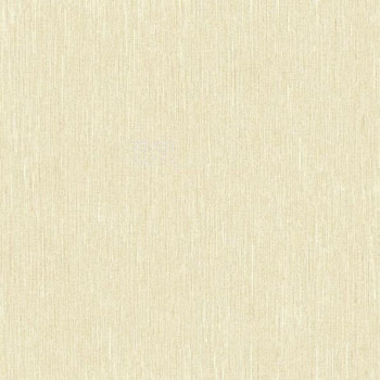 Kashmir - MW9193 - Papel de Parede Americano Vinílico-Lavável   
