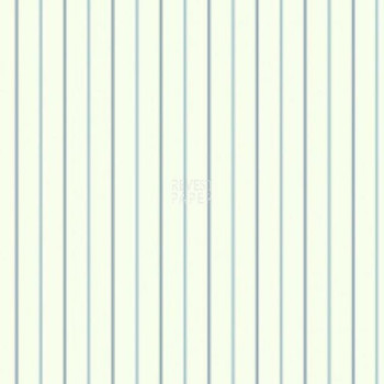 Kashmir - NY4855 - Papel de Parede Americano Vinílico-Lavável   