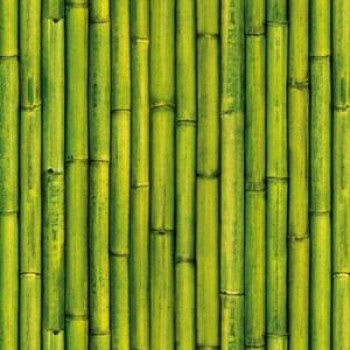 Papel de Parede Natural Zen -3476-1 - VINILIZADO