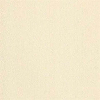 Rustic Country PA130505 Papel de Parede Americano Vinílico Lavável 