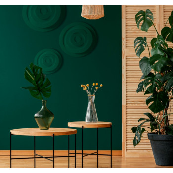 Rosetas - RL30 - Moldura