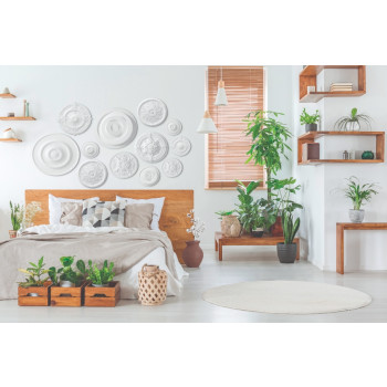 Rosetas - R40 - Moldura