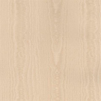 Papel de Parede Simply Silks 3 - NS24911 - VINÍLICO - LAVÁVEL 