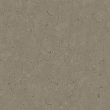 Papel de Parede Cimento Queimado - Verona 2 - VR981406R - TNT