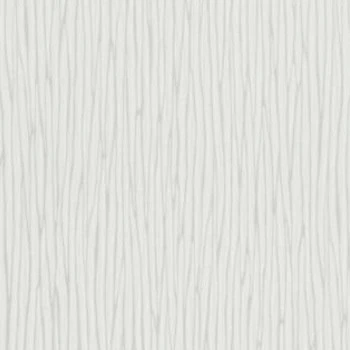 Papel de Parede Textura - Raizes - 10107-10 - Vinilico-TNT