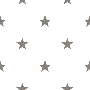 Papel de Parede Estrela - Hashtag - 11067 - Vinilizado