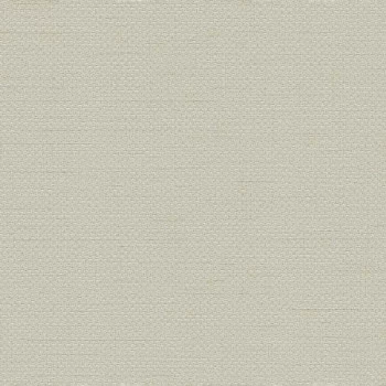 Papel de Parede Textura - HF Orient - 121036 - Vinílico - TNT 