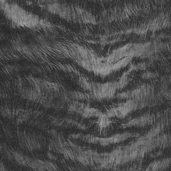 Roberto Cavalli Home 2 RC13031 Papel de Parede Italiano Vinílico Lavável 