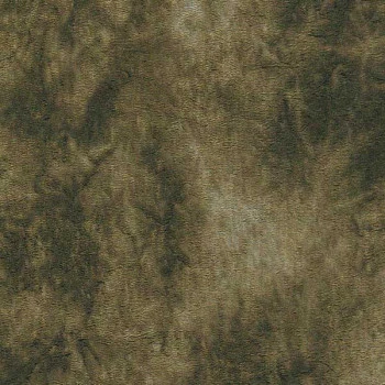 Roberto Cavalli Home 2 RC13047 Papel de Parede Italiano Vinílico Lavável 