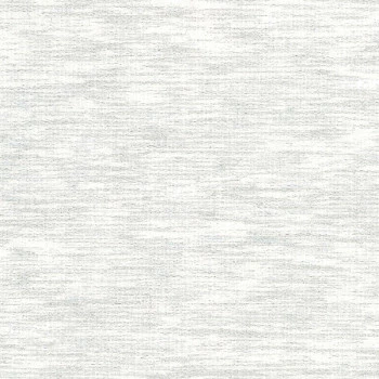Papel de Parede Textura - Pure 3 - 160652 - Vinil