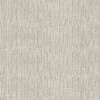 Papel de Parede Textura - Hana - 1910-2 - Vinílico