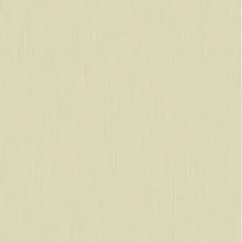 Papel de Parede Textura - Alta Gamma Evolution 2 - 20771 - Vinílico