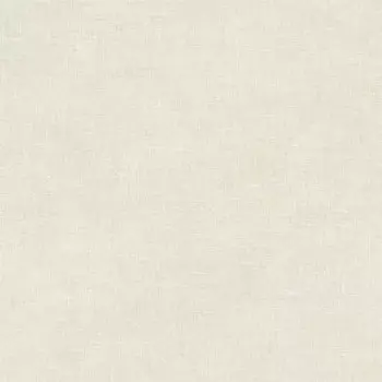 Papel de Parede Textura - Alta Gamma Evolution 2 - 20862 - Vinílico