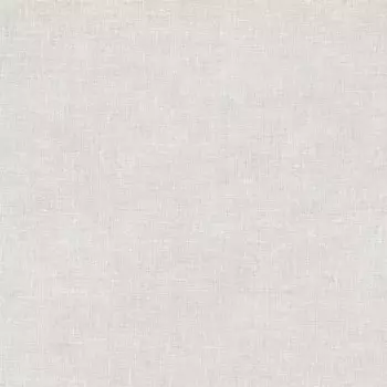 Papel de Parede Textura - Alta Gamma Evolution 2 - 20864 - Vinílico