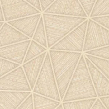 Papel de Parede Geométrico - Ambiance - 29112 - TNT - Vinilíco