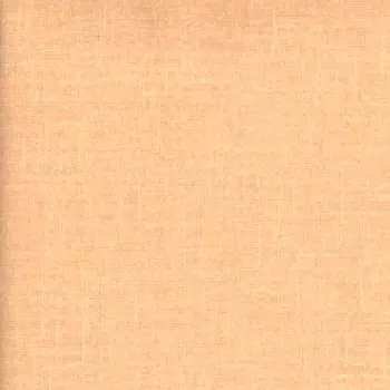 Papel de Parede Italiano Verve 30220  Vínílico Lavável 