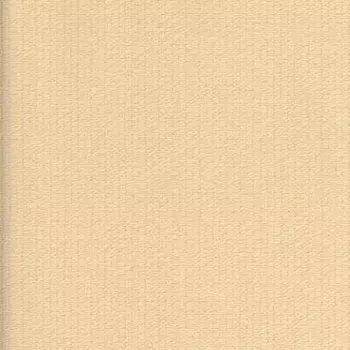 Papel de Parede Italiano Verve 30224  Vínílico Lavável 