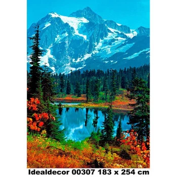 307 - Painel Fotográfico